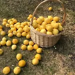 Szálloda Florida 2*