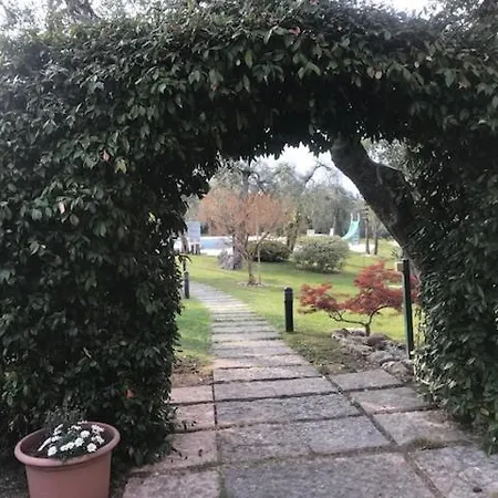 Florida マルチェージネ